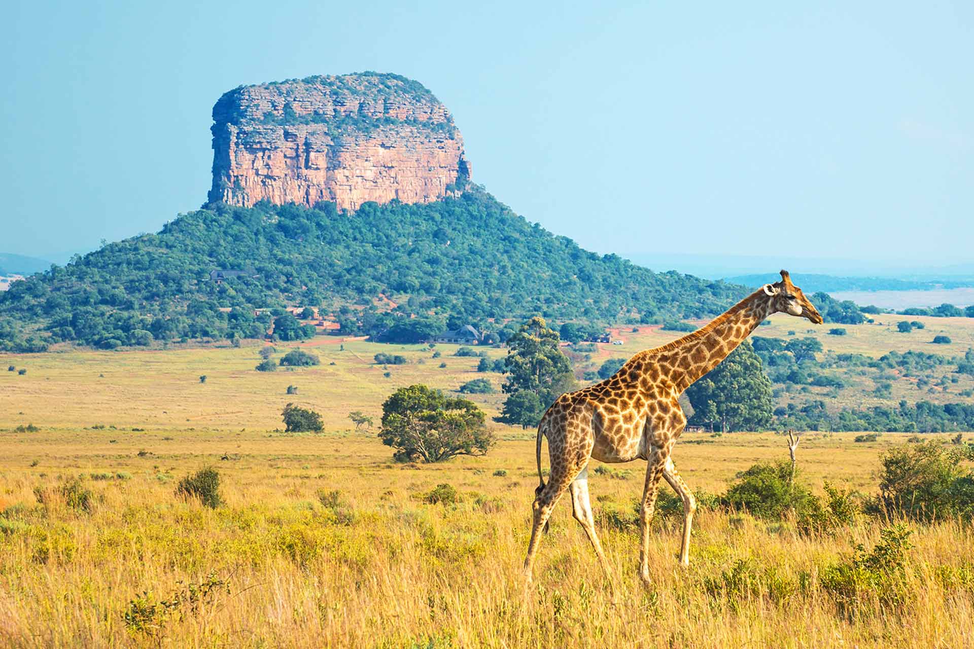 10 interesting facts about South Africa | Travelbag