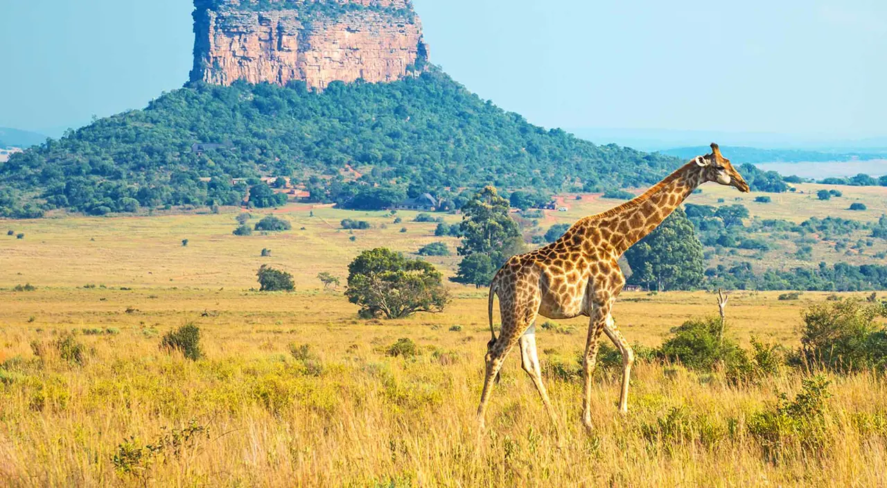 10 interesting facts about South Africa | Travelbag