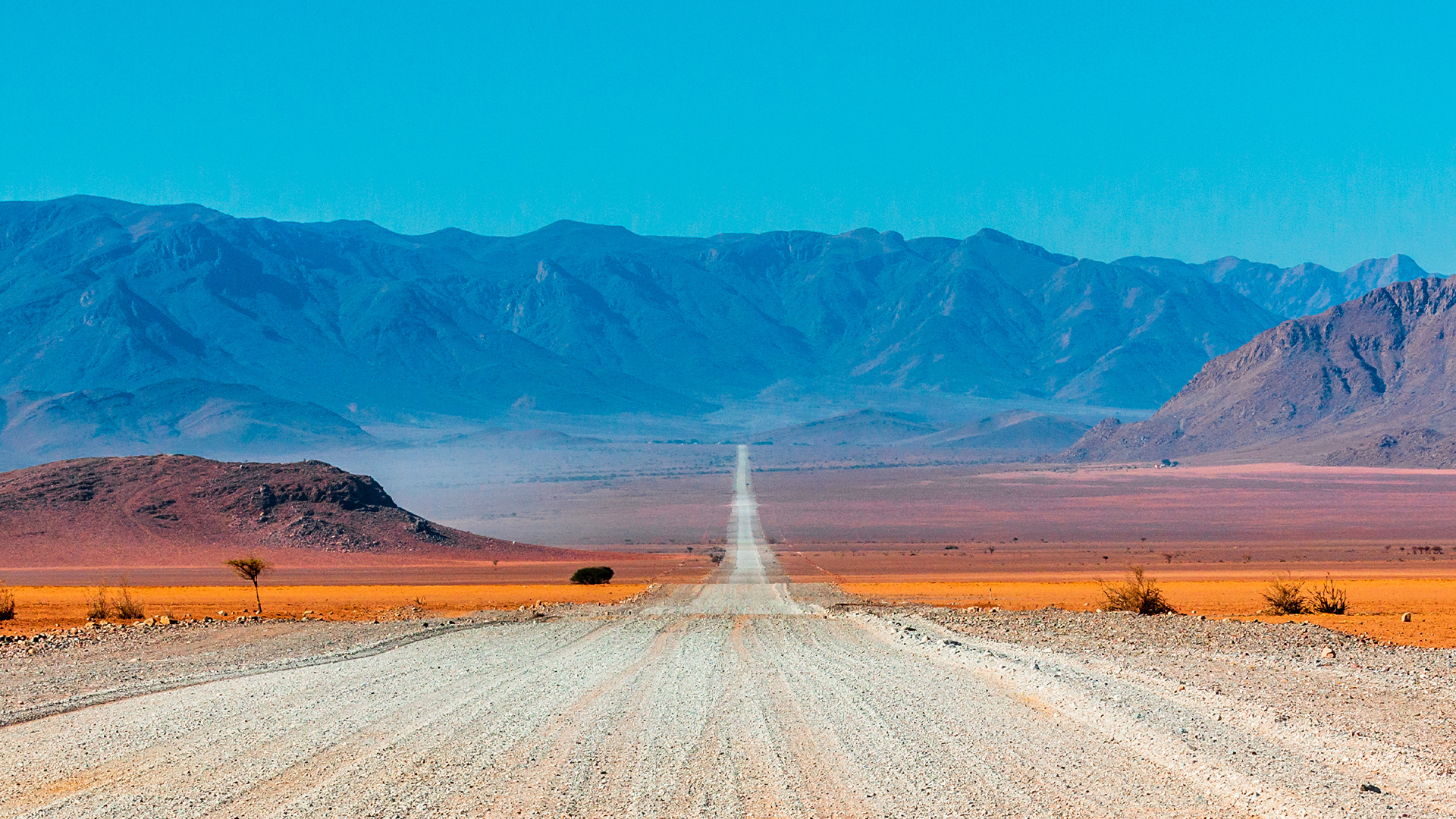 Travelbag Careers 2024 / 2025 Travelbag