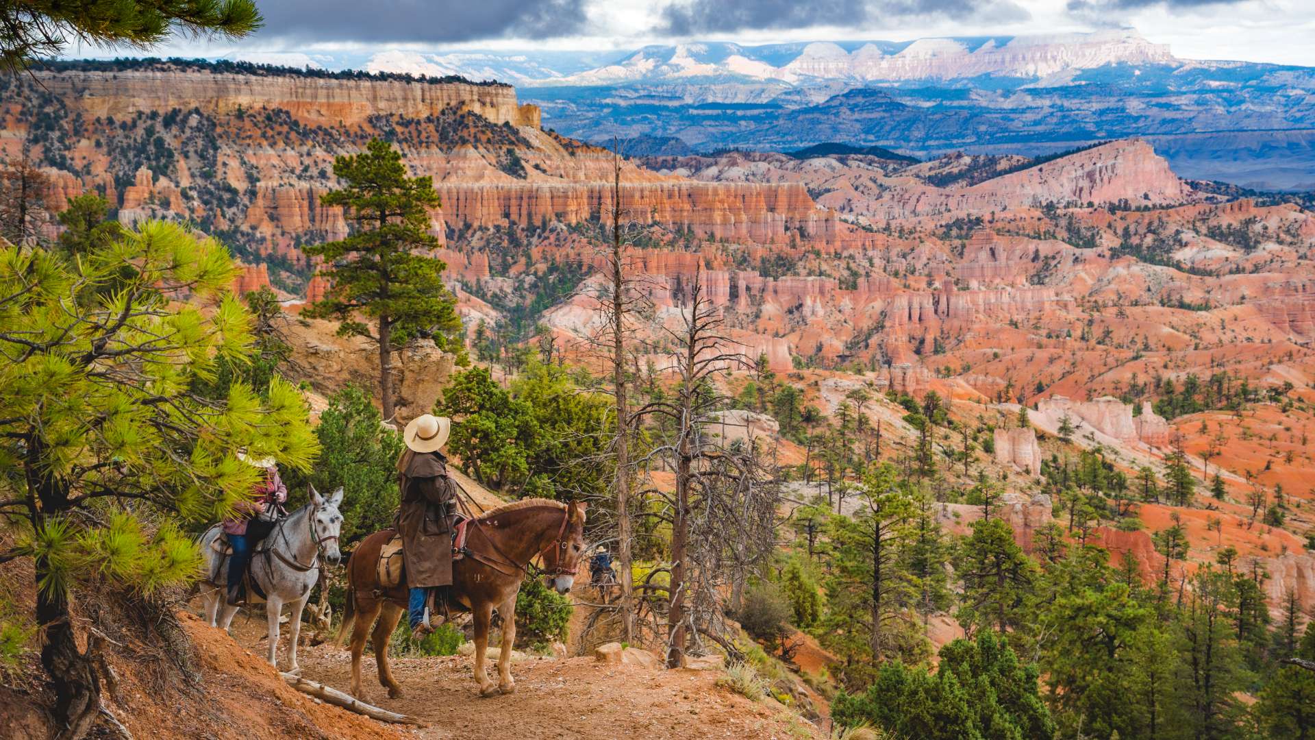 Ruby's Horseback Rides | 2026 / 2027 | Travelbag