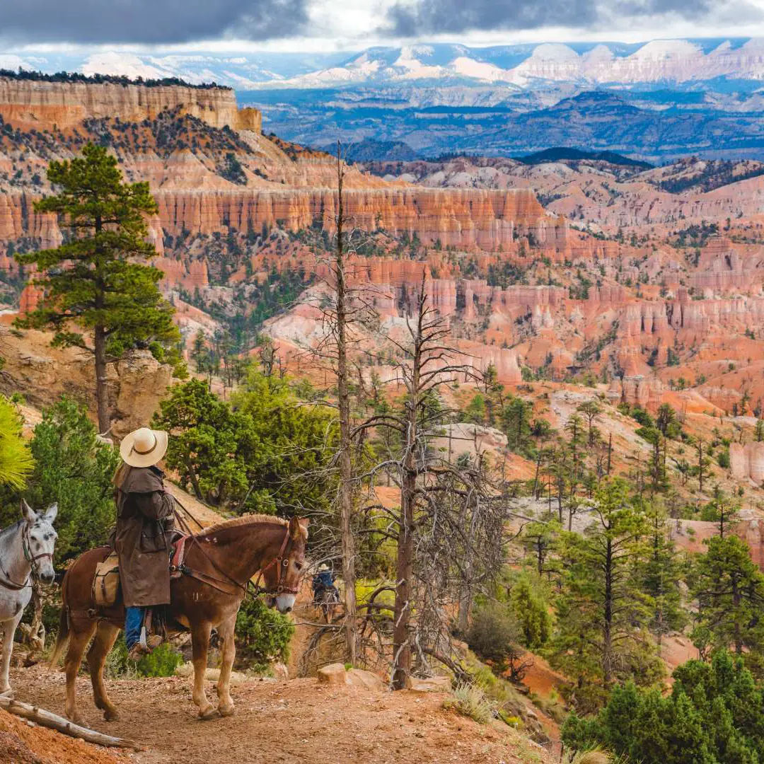 Ruby's Horseback Rides | 2026 / 2027 | Travelbag