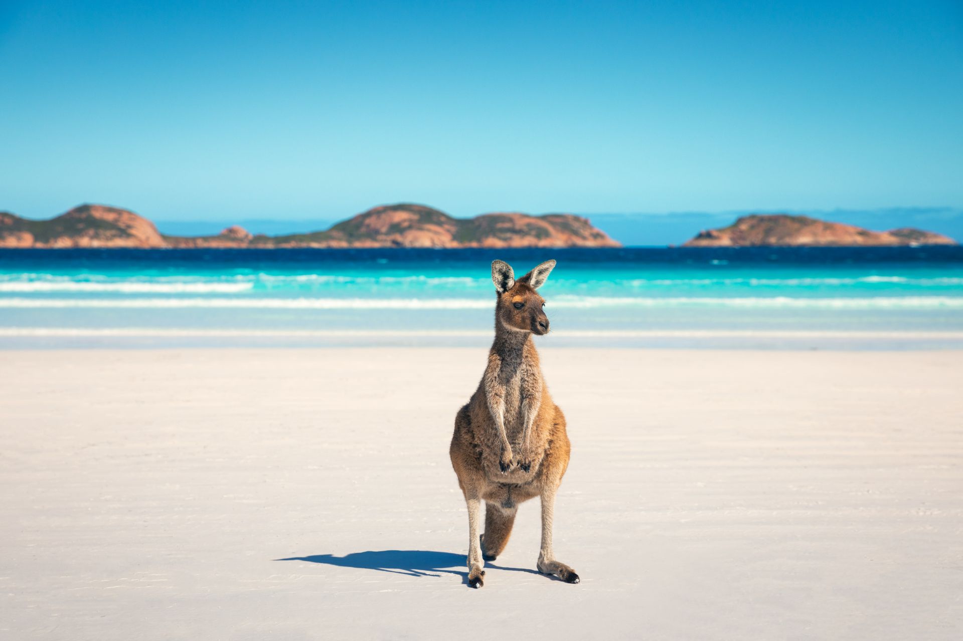 8 of the best beaches you must visit in Australia Travelbag