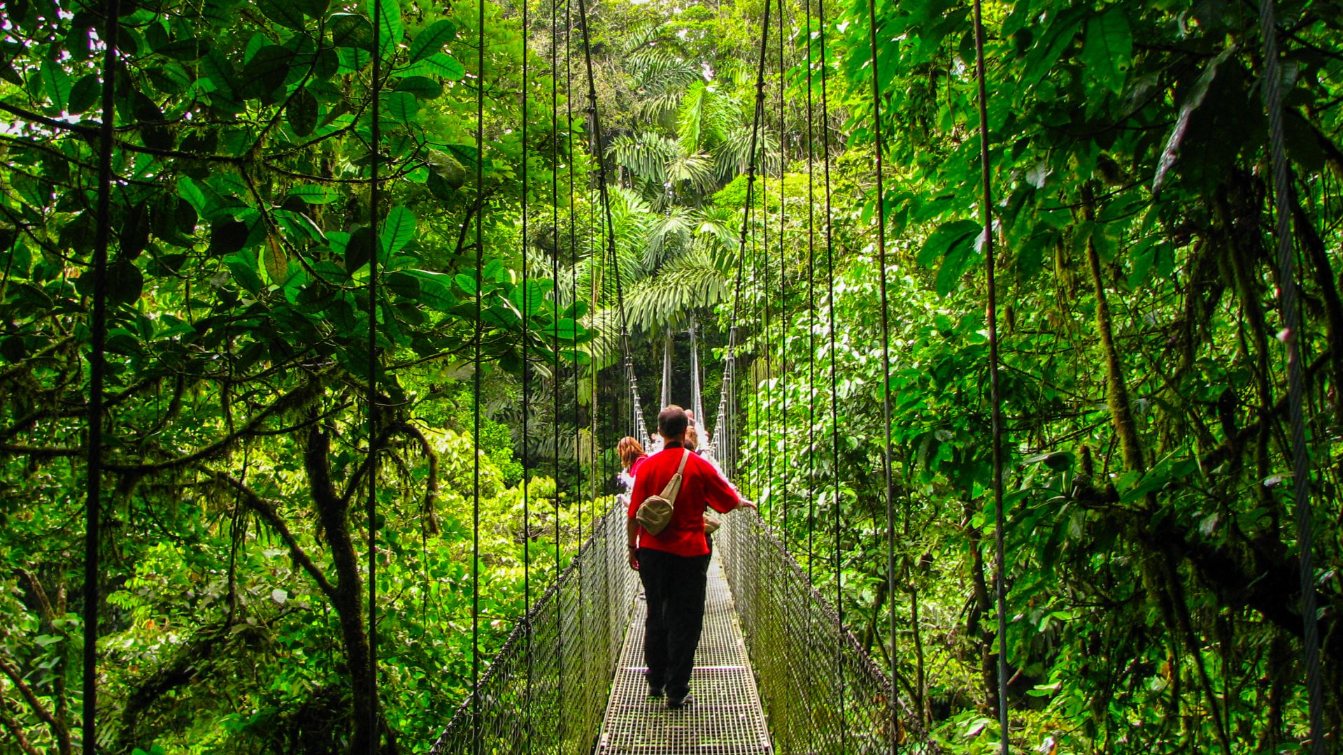 9 Day Spirit of Costa Rica 2024 / 2025 Travelbag