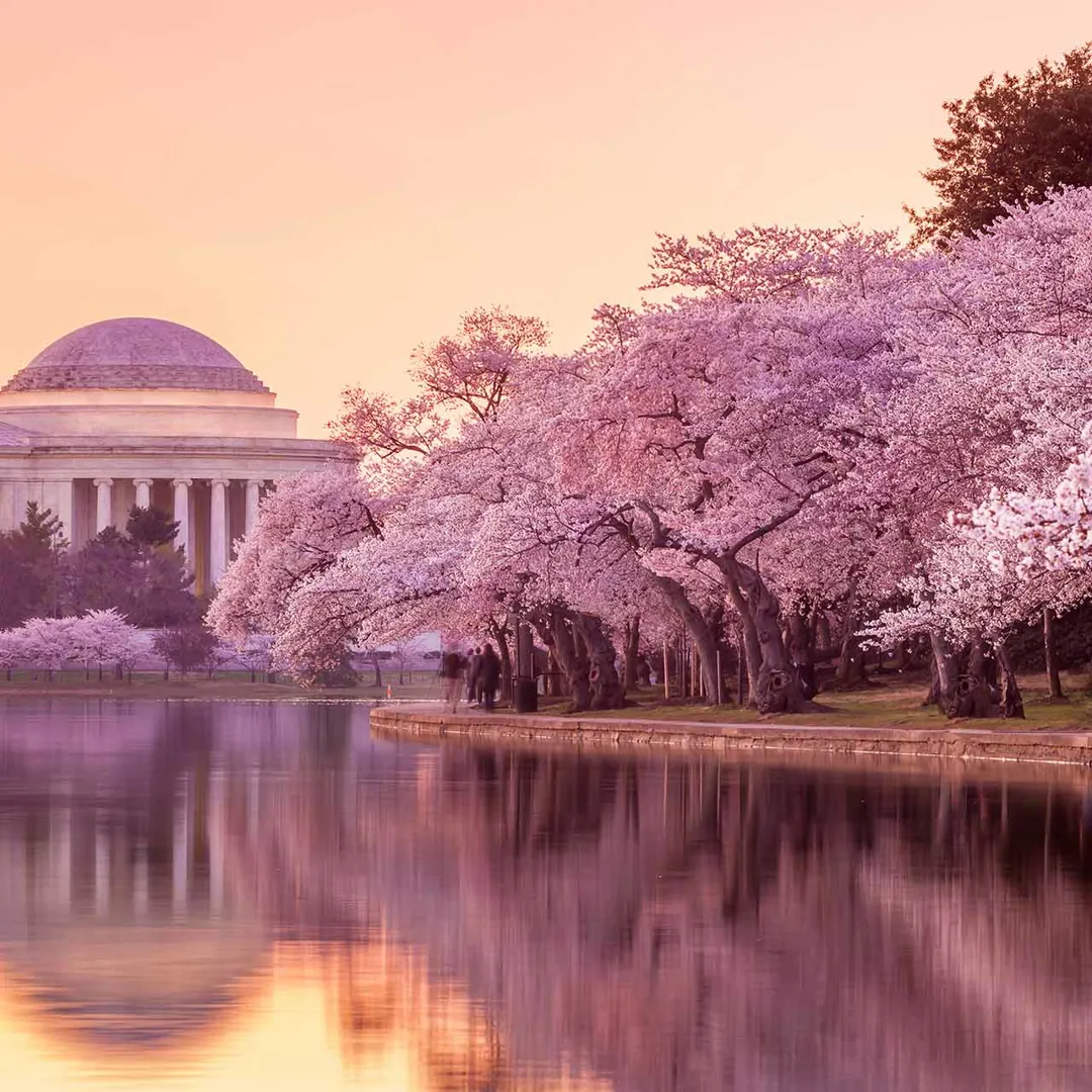 Spring Tourist The Best Destinations to Visit in Spring | Travelbag