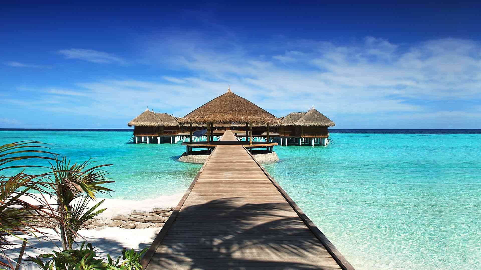 AllInclusive Maldives Holidays 2024 / 2025 Travelbag