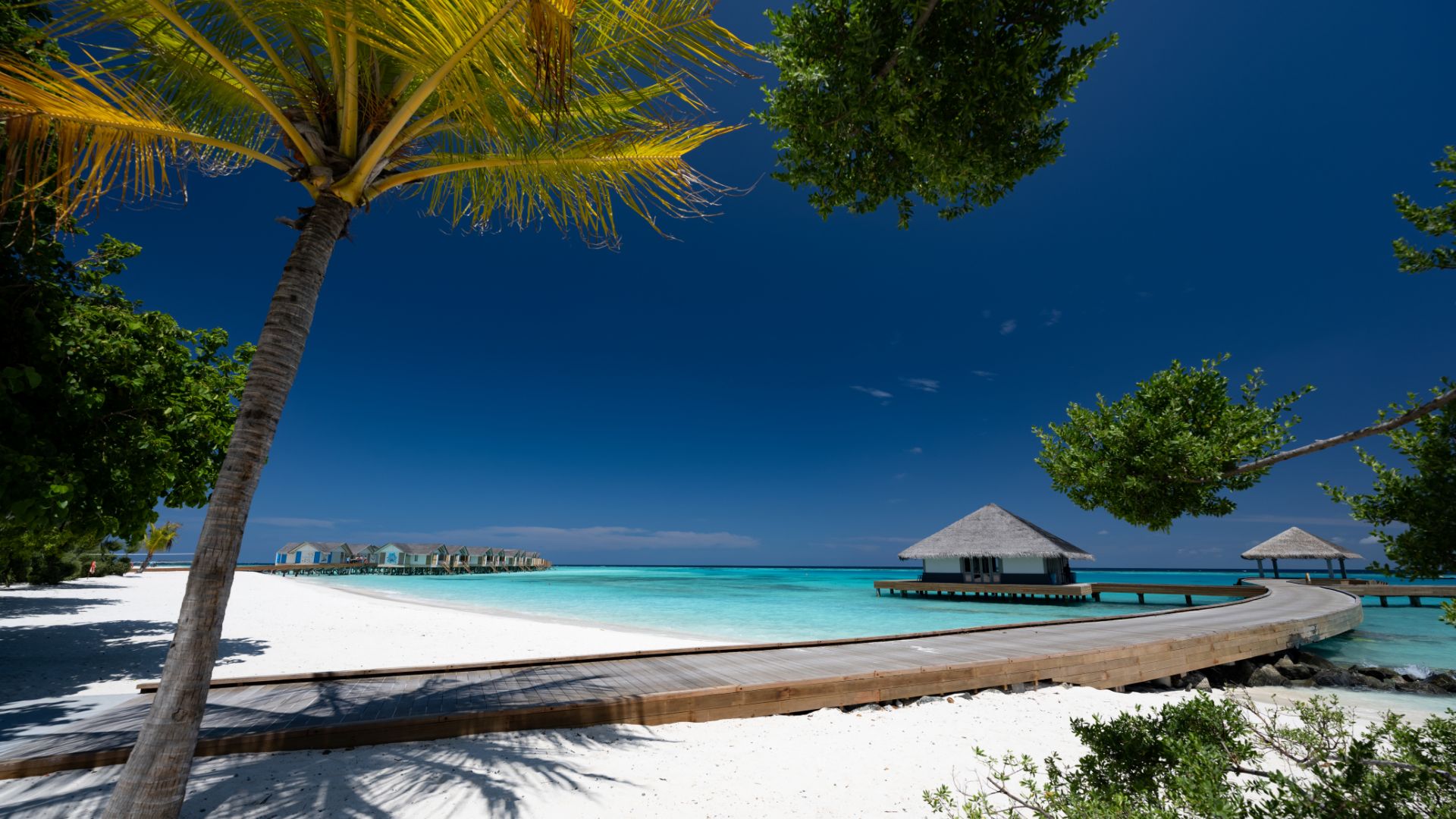 Cora Cora Maldives 2024 / 2025 Travelbag