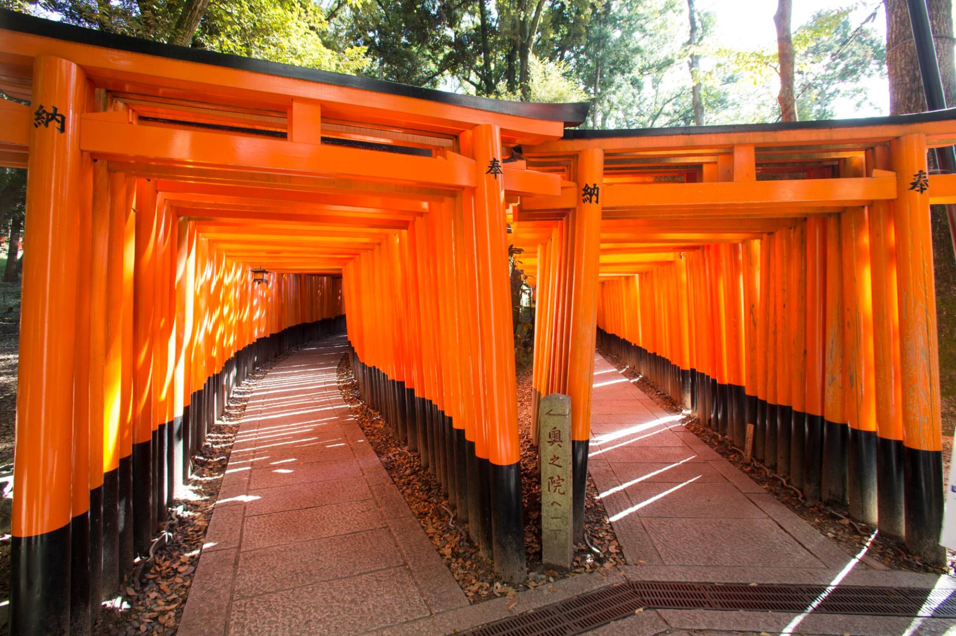 Japan Tours 2024 / 2025 Travelbag