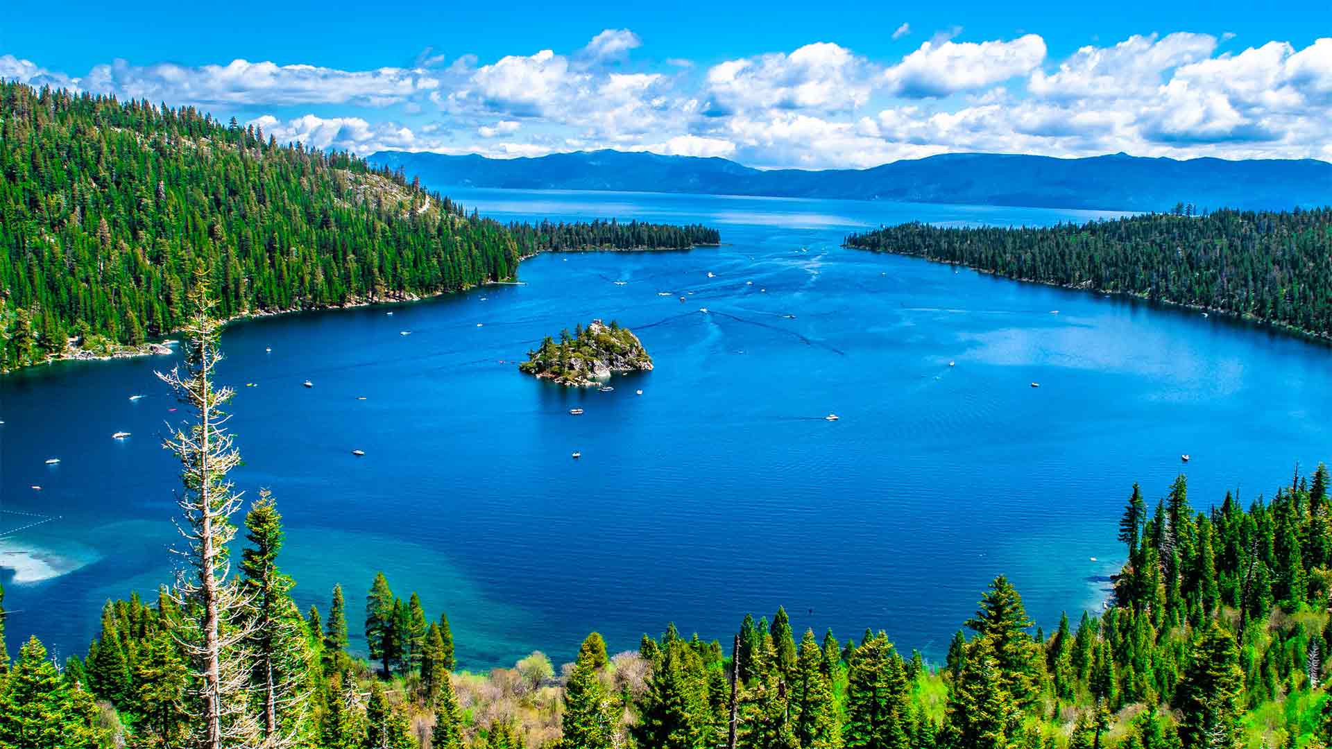 Nevada Holidays 2025 / 2025 Travelbag