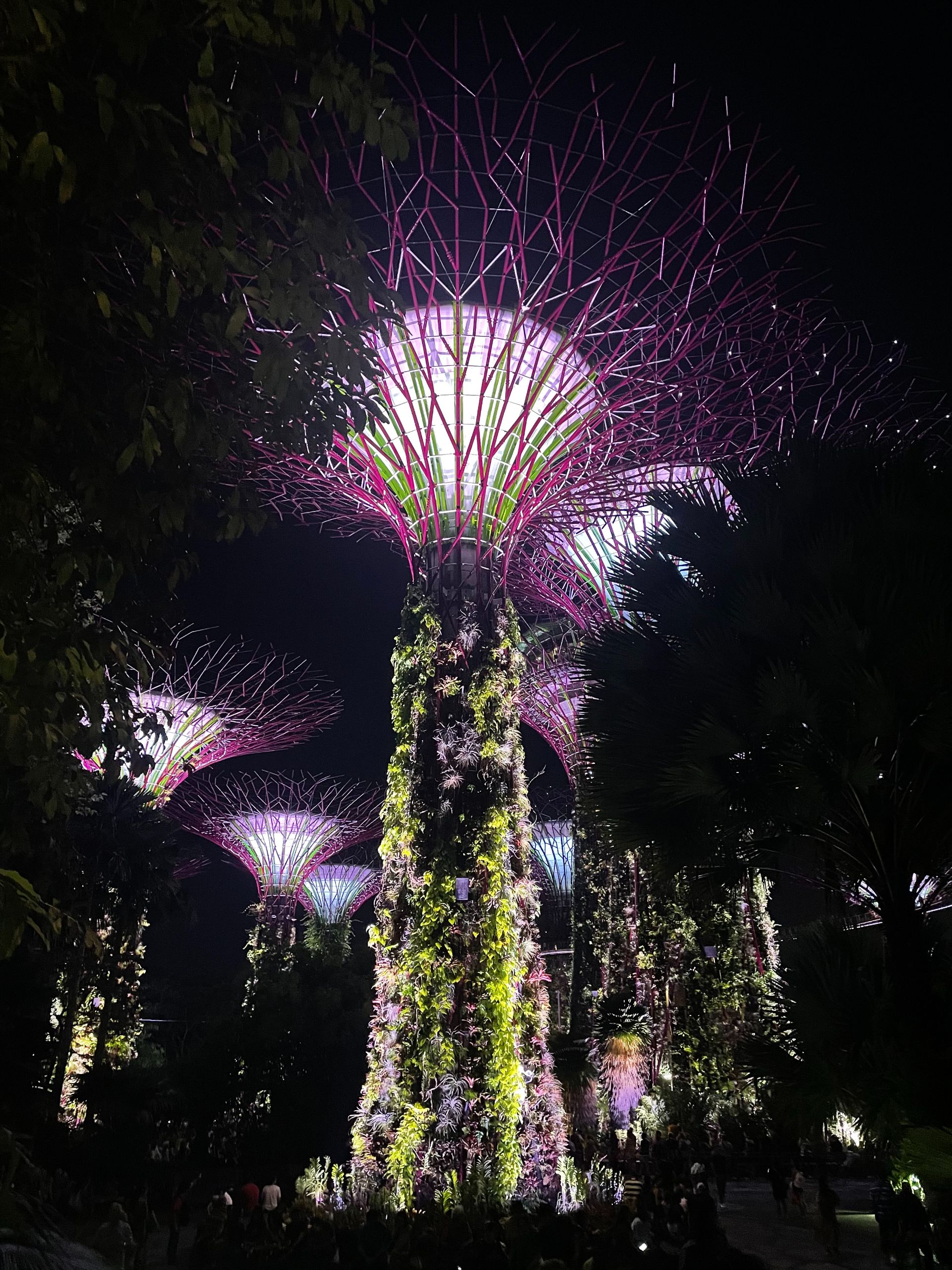 Singapore MultiCentre & TwinCentre Holidays 2024 / 2025 Travelbag