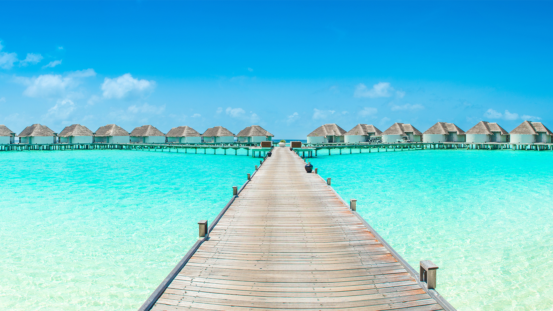 Luxury Holidays 2024 / 2025 Travelbag