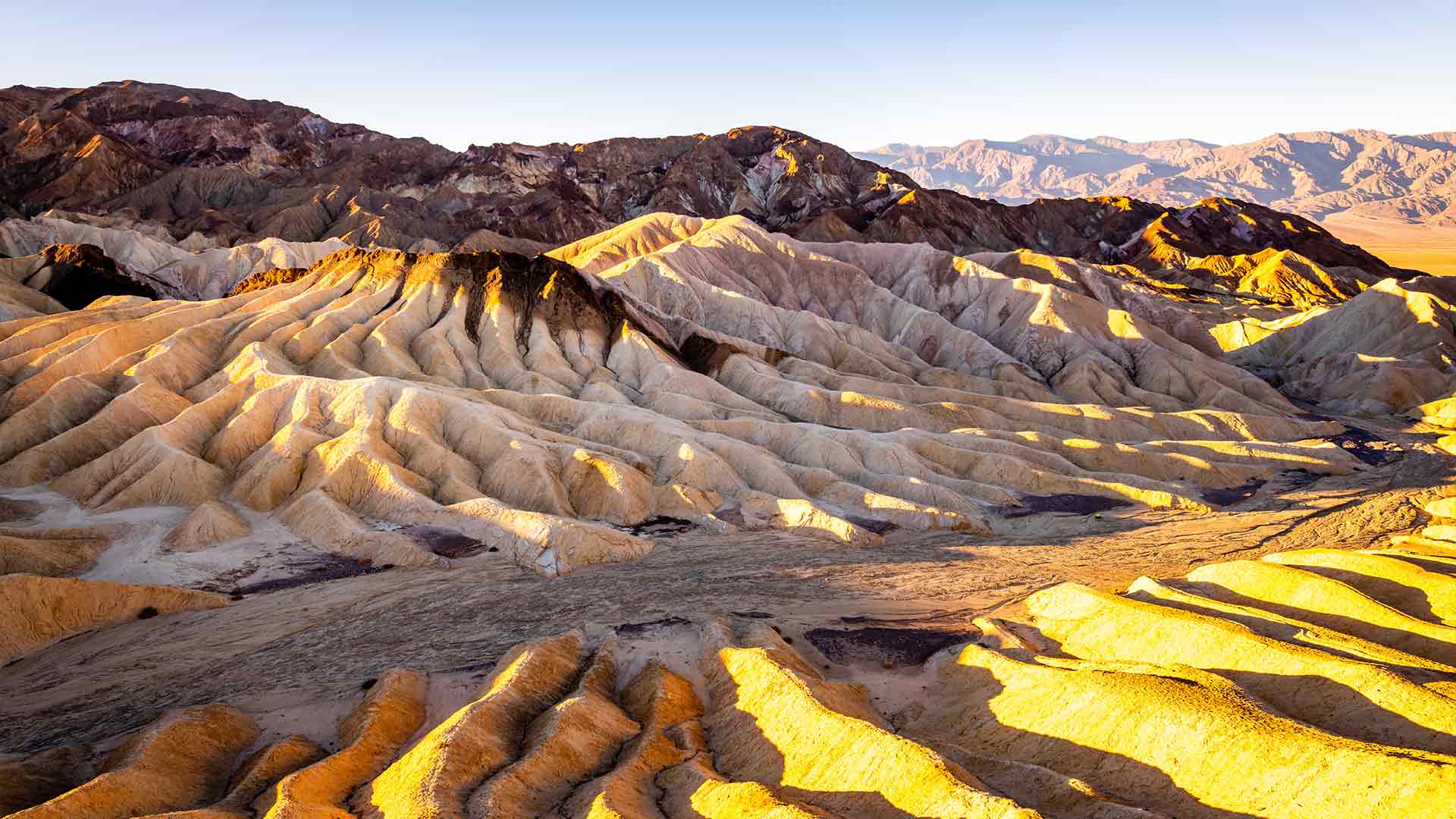 Nevada Holidays 2025 / 2025 Travelbag