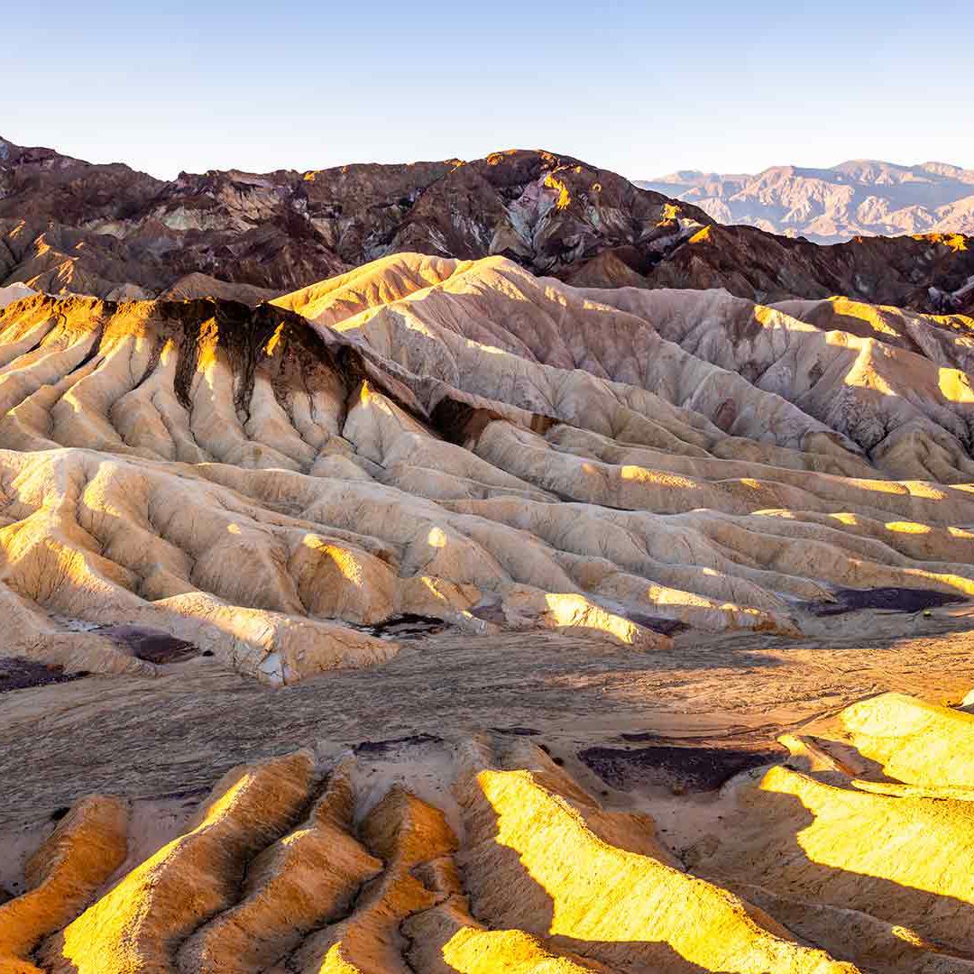 Nevada Holidays 2025 / 2025 Travelbag