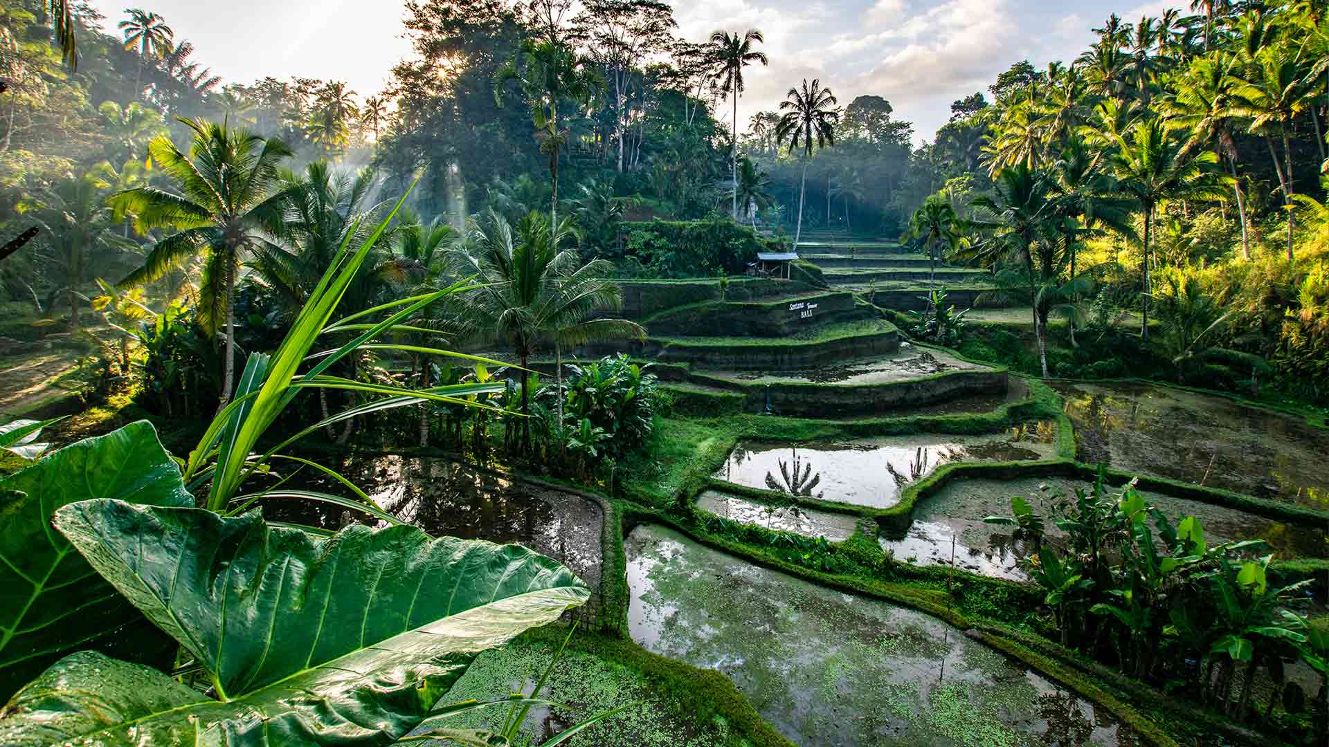 Bali Hotels 2024 / 2025 Travelbag