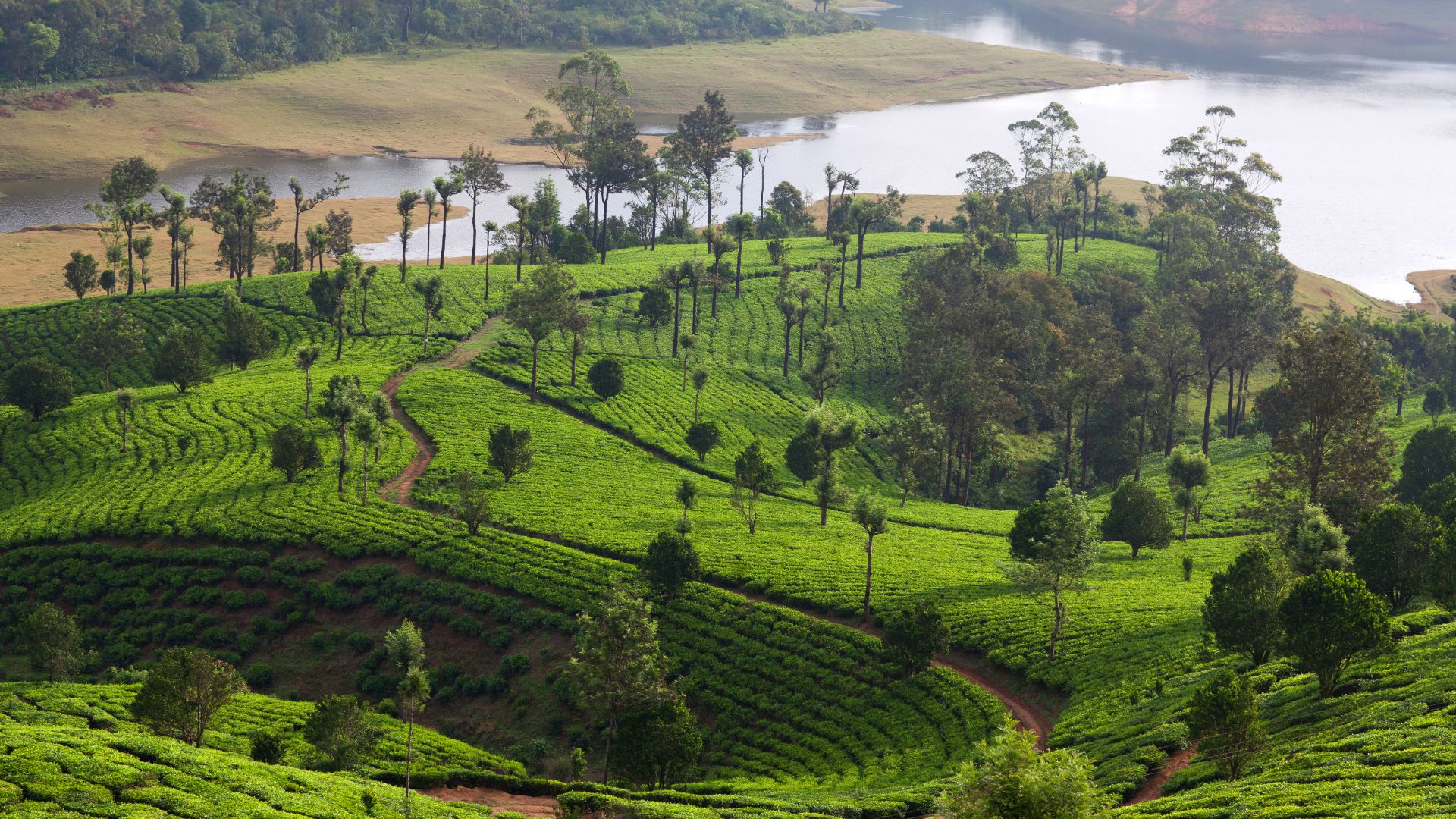 Kerala Holidays 2025 / 2026 Travelbag