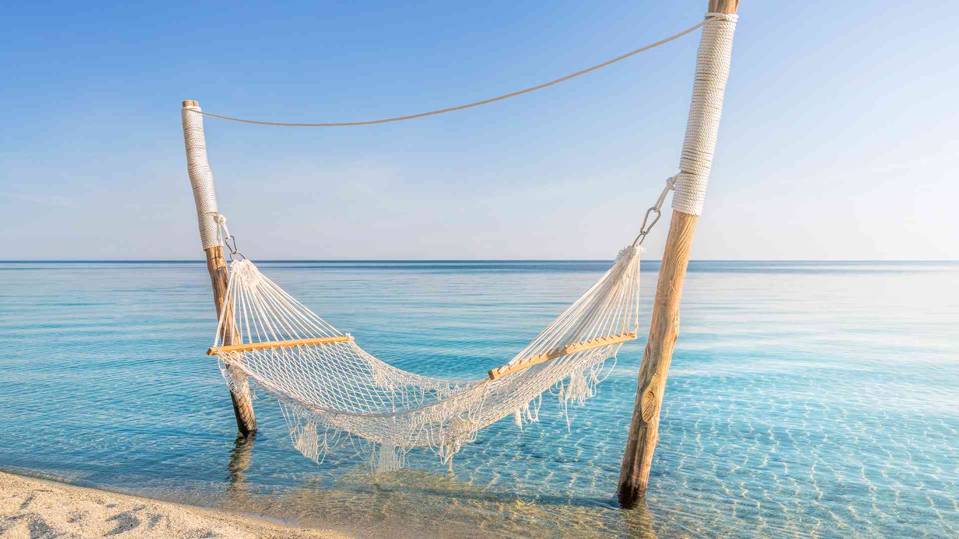 Contact Us Travelbag