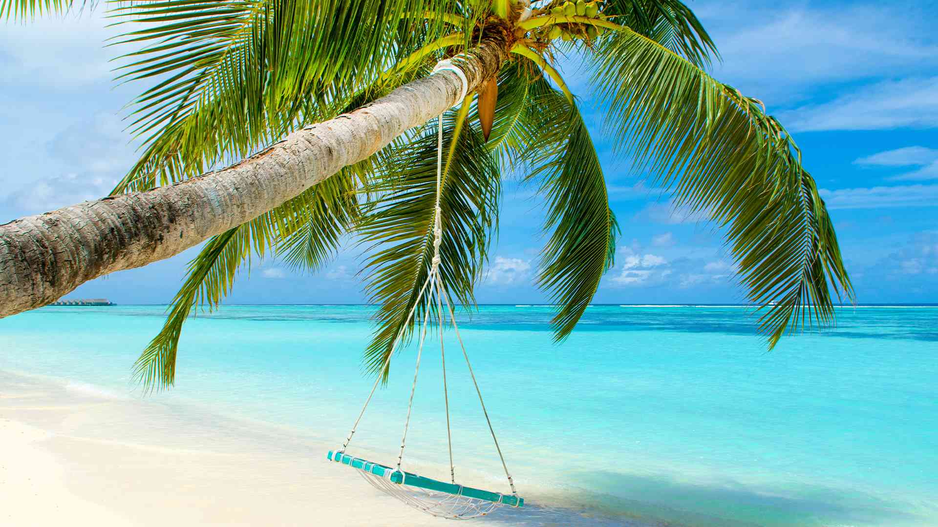 Maldives Beach Holidays 2024 / 2025 Travelbag