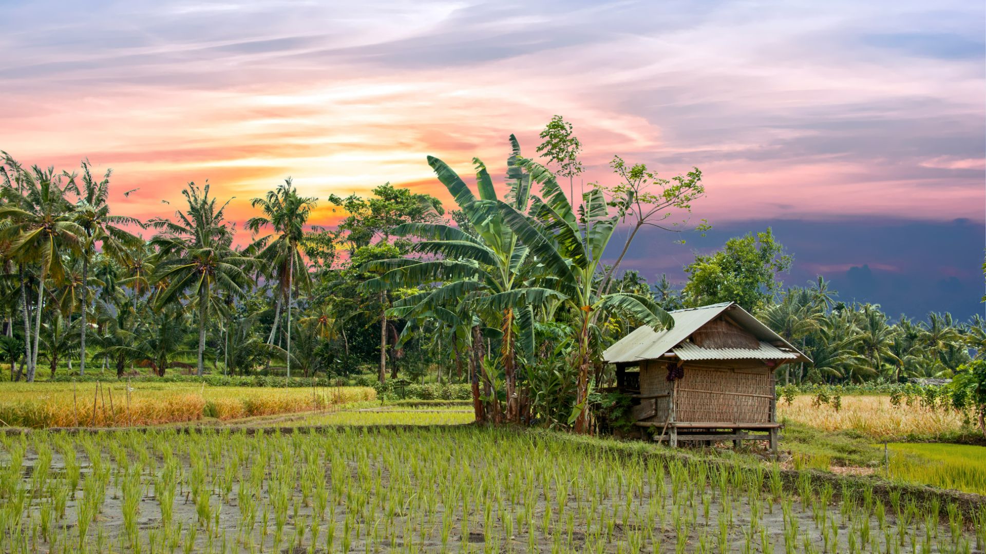 Best Time of Year to Visit Indonesia - Travelbag