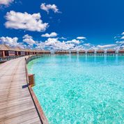 Scenic Sri Lanka tour & Maldives 2024 / 2025 Travelbag