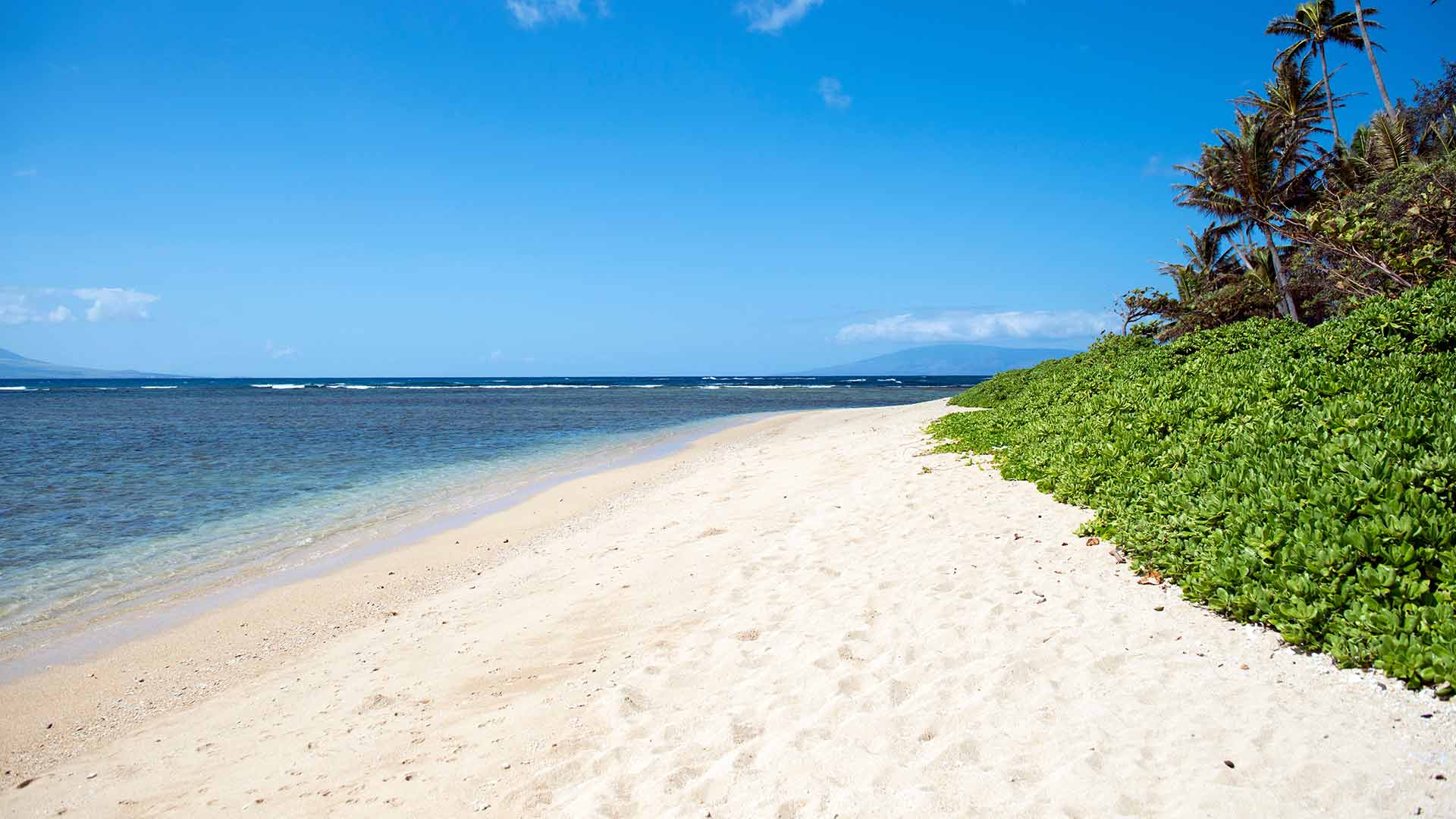 Molokai Holidays | 2026 / 2027 | Travelbag