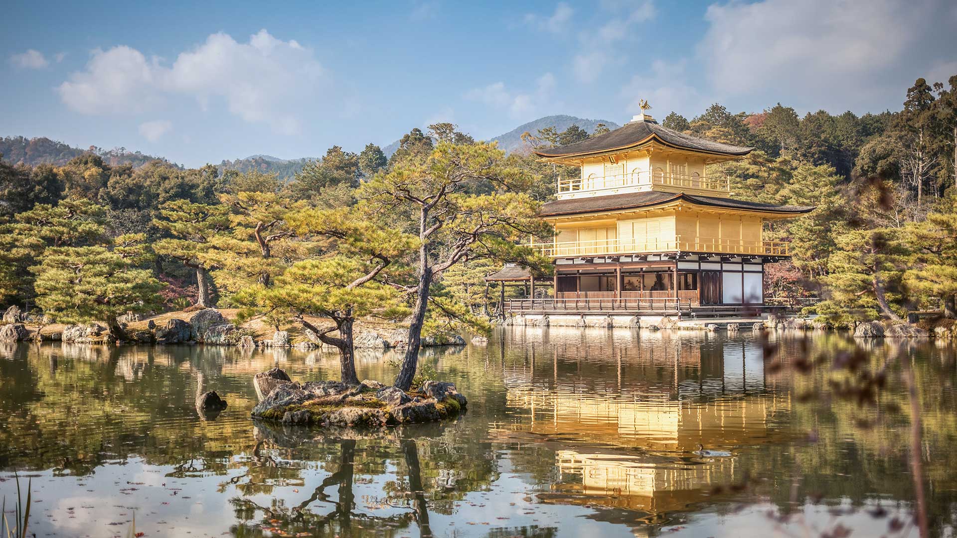 Asia Holidays 2024 / 2025 Travelbag