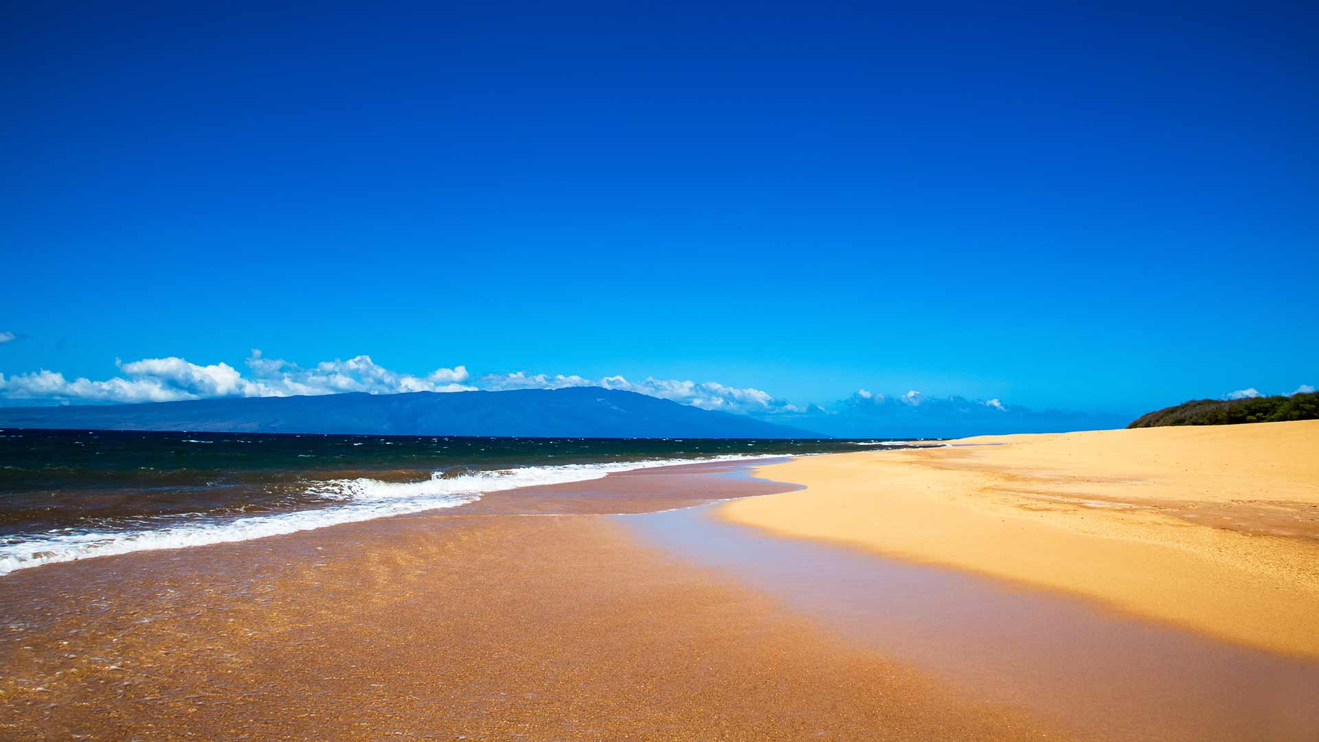 Lanai Holidays 2024 / 2025 Travelbag