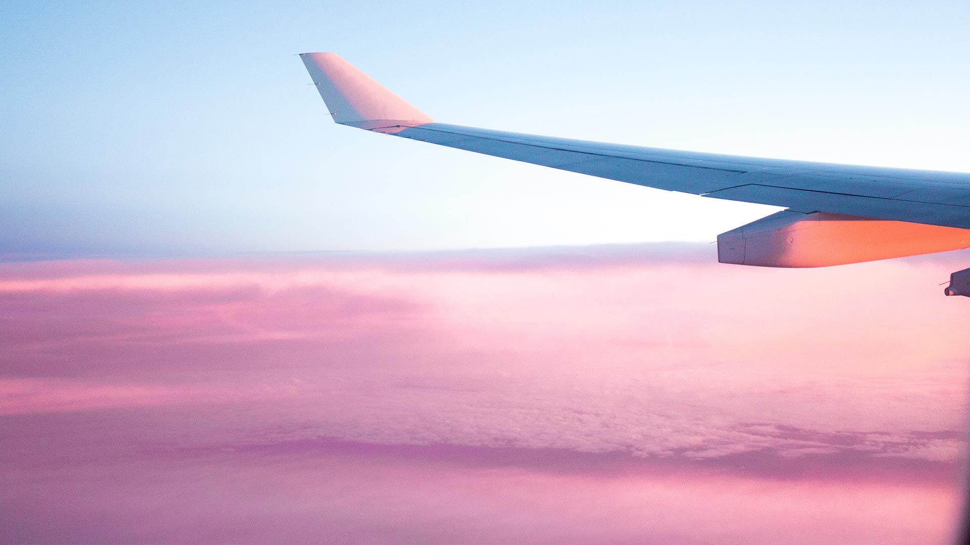 Flights 2024 / 2025 Travelbag