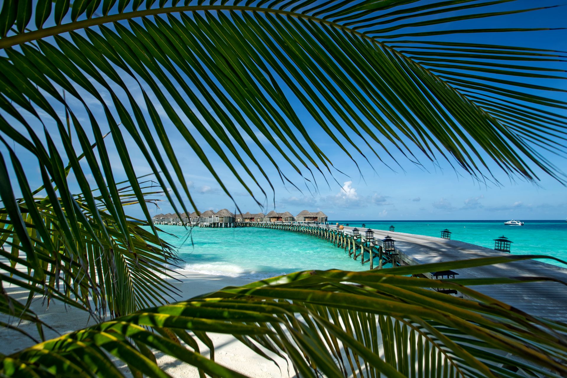 Best Time to Visit the Maldives - Travelbag