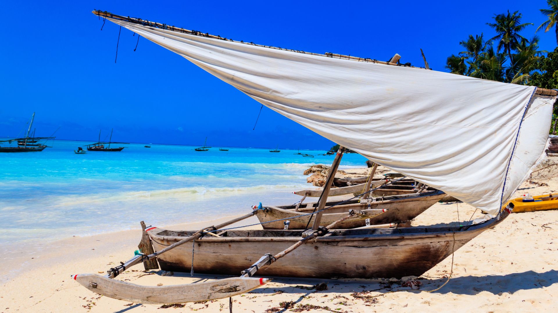 AllInclusive Zanzibar Holidays 2024 / 2025 Travelbag