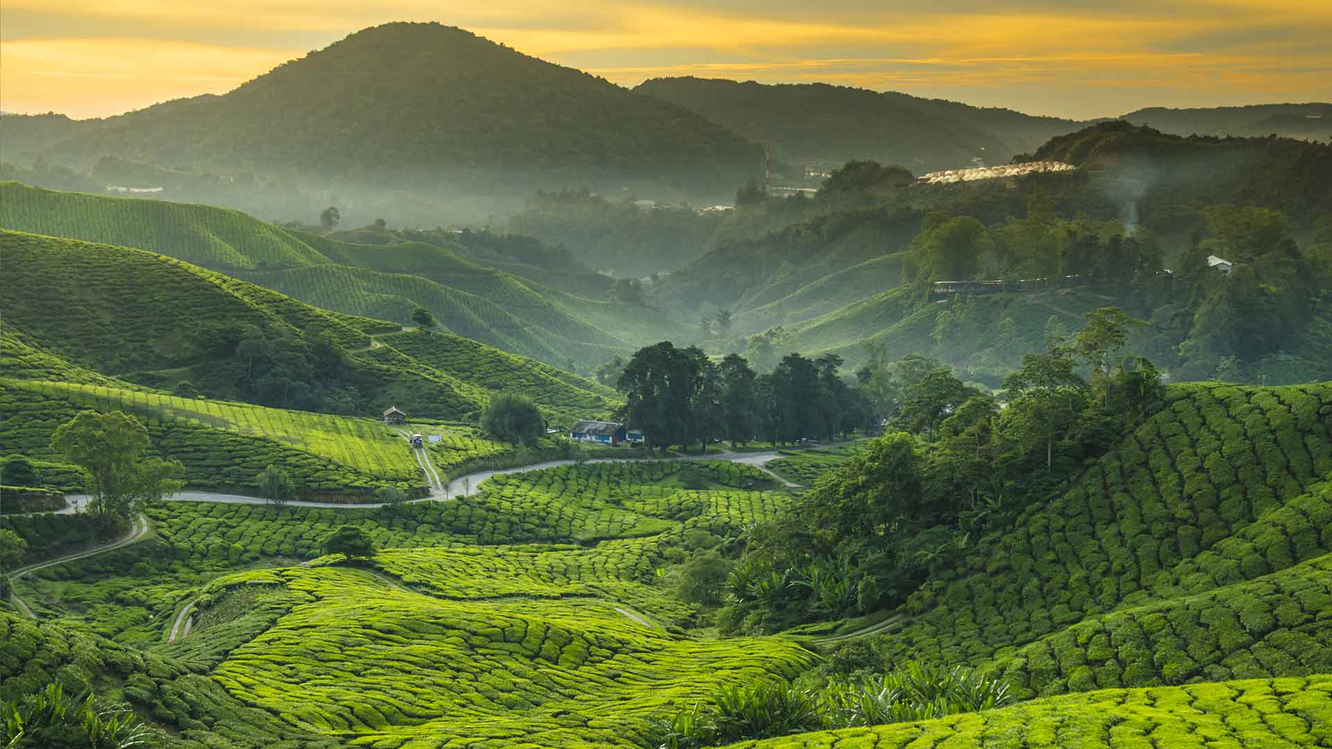 Malaysia Holidays 2024 / 2025 Travelbag