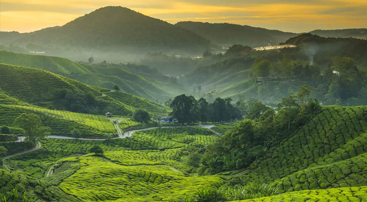 Malaysia Holidays | 2024 / 2025 | Travelbag