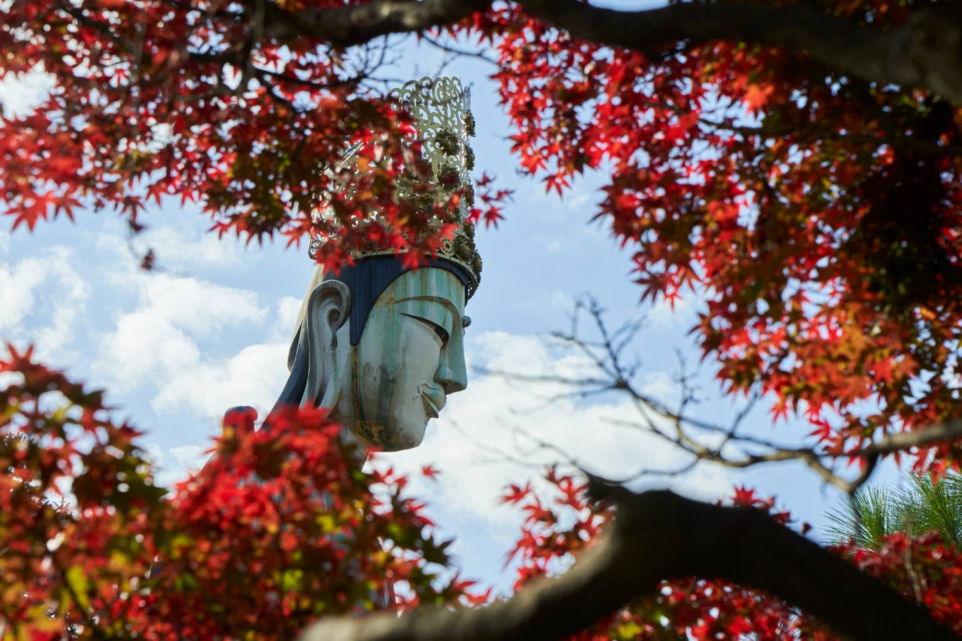 12 Day Timeless Japan 2024 / 2025 Travelbag