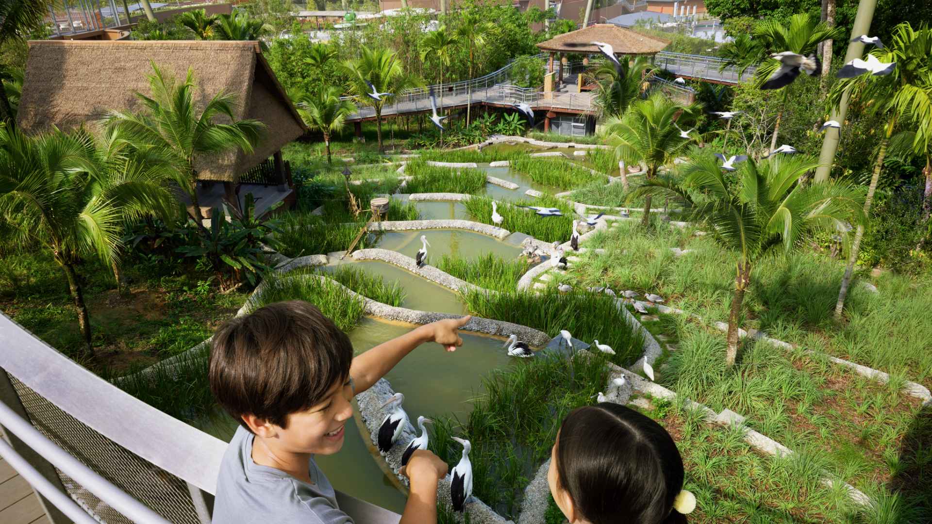 Night Safari 2024 / 2025 Travelbag